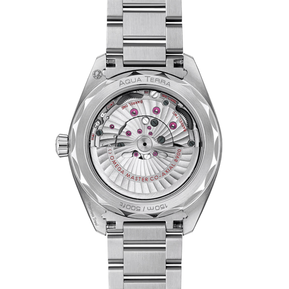 OMEGA Seamaster Aqua Terra 150M Co-Axial Master Chronometer 41 MM 220.10.41.21.03.004