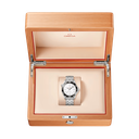 OMEGA Diver 300m Co‑Axial Master Chronometer 42 mm  Acero con Acero  210.30.42.20.04.001