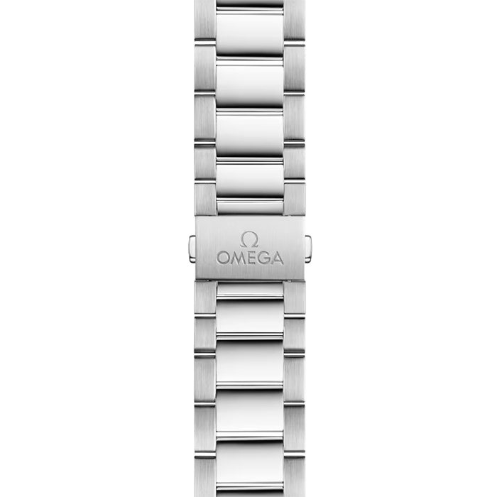 OMEGA Seamaster Aqua Terra 150M Co-Axial Master Chronometer 41mm 220.10.41.21.06.001