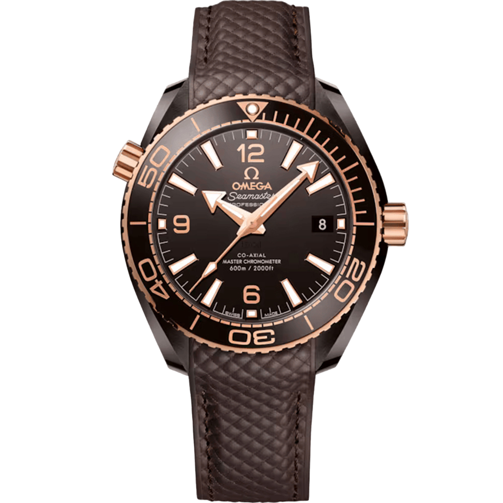 OMEGA Seamaster Planet Ocean 600M 39,5mm 215.62.40.20.13.001