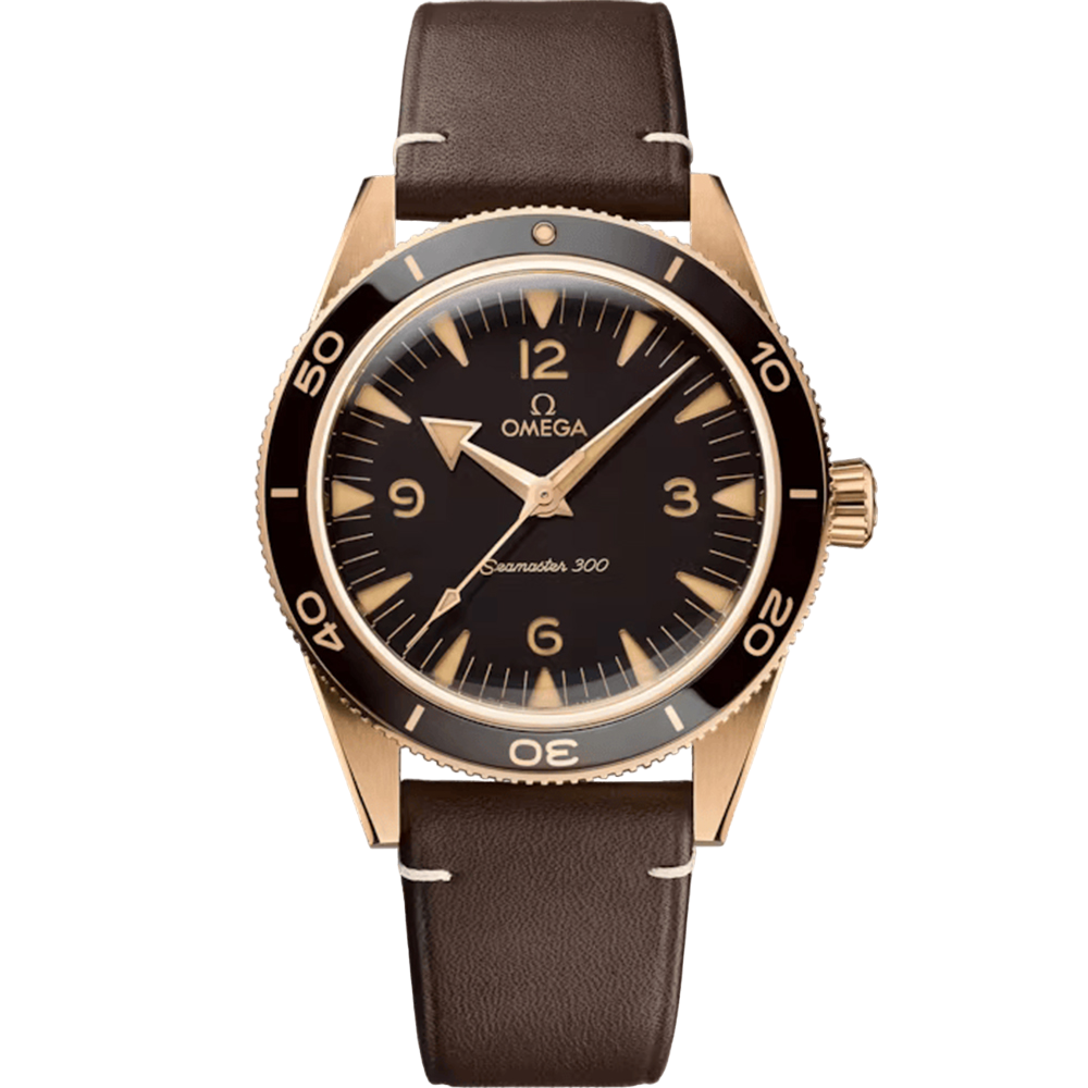 OMEGA Seamaster 300 Co‑Axial Master Chronometer 41mm 234.92.41.21.10.001